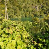  Plitvice Lakes National Park